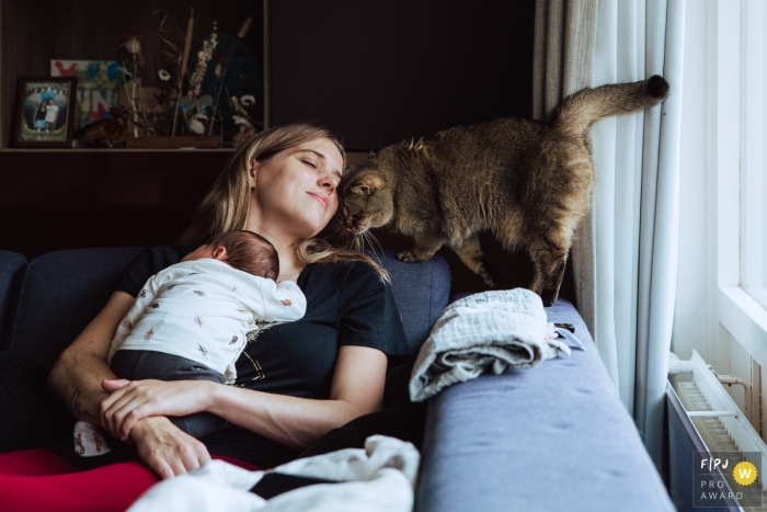 In Amsterdam, the Noord Holland mother is cuddling with her child, the cat wants in on it.