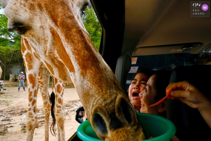 Dieses Kind sieht verängstigt aus, als es im Safari Park in Bangkok, Thailand, einer Giraffe beim Fressen aus dem Auto zusieht