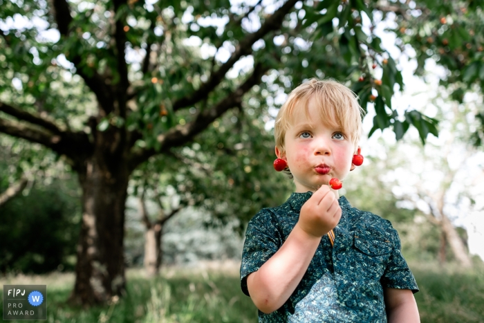 A cherry tree stands behind a boy who is delightfully dangling cherries from his ears In Brabant Wallon, a boy having fun by hanging cherries from his ears with a cherry tree behind him
