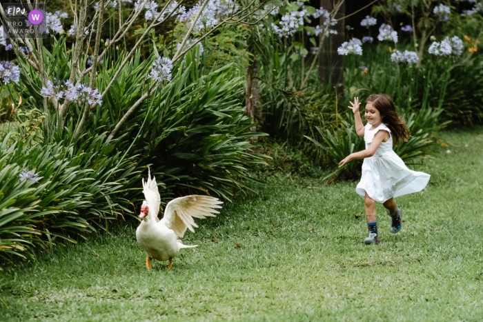 During the family photo session in Florianopolis, the little girl gleefully chased after geese The little girl gleefully playing, chasing after geese in Florianopolis during the family photo session