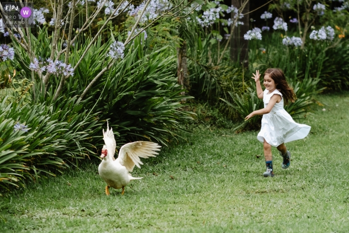 The little girl gleefully playing, chasing after geese in Florianopolis during the family photo session